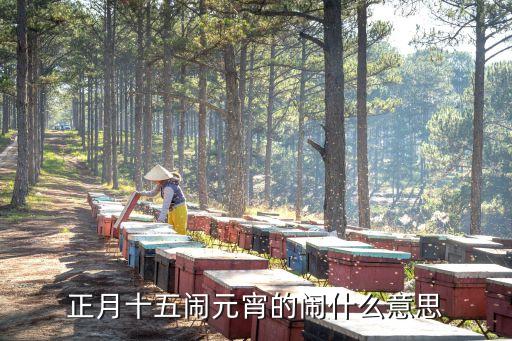 正月十五闹元宵的闹什么意思