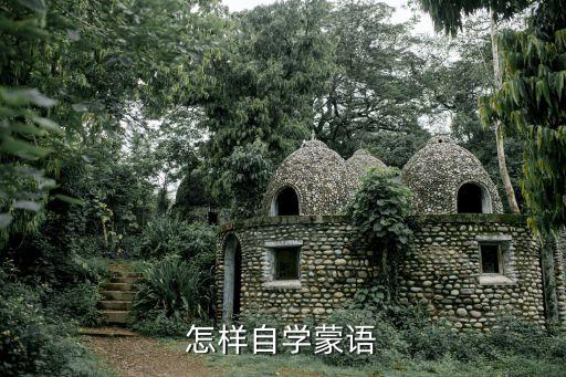 怎样自学蒙语