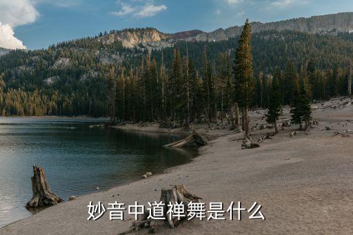 妙音中道禅舞是什么