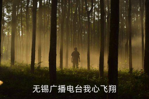 我心飞翔外地怎么听，无锡广播电台我心飞翔