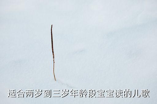适合两岁到三岁年龄段宝宝读的儿歌