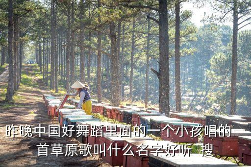 广场舞带草原的歌名是什么歌，昨晚中国好舞蹈里面的一个小孩唱的一首草原歌叫什么名字好听  搜