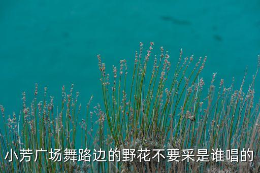 小芳广场舞路边的野花不要采是谁唱的