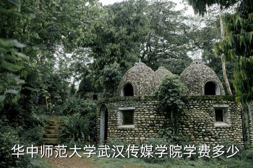 武汉华中艺术学校学费，华中高二学费多少