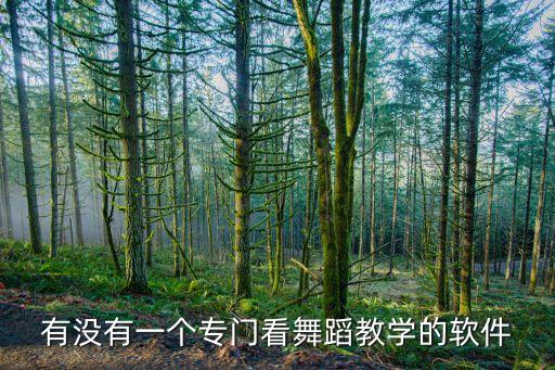 有没有一个专门看舞蹈教学的软件