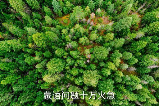 蒙语问题十万火急