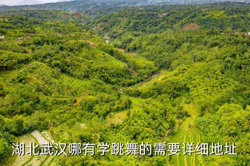 武汉哪里有教跳舞的，武汉舞蹈培训哪家好