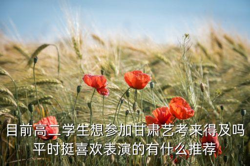 高二学表演艺考来得及吗，开学就高二了为了高考想走艺术专业想从表演和美术中挑一个