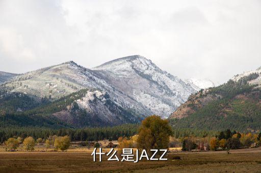 舞蹈JAZZ什么意思，什么是JAZZ