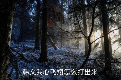 韩文我心飞翔怎么打出来