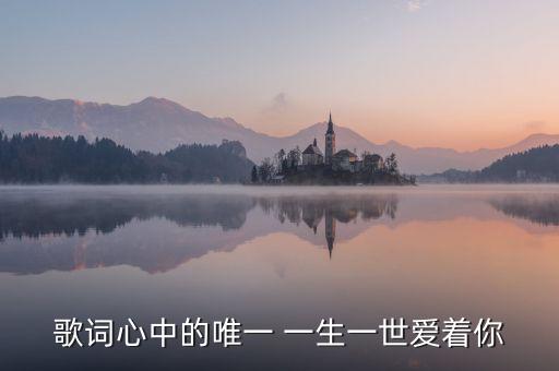 歌词心中的唯一 一生一世爱着你