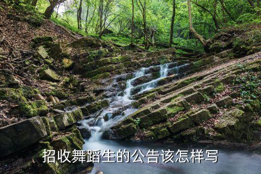 招收舞蹈生的公告该怎样写