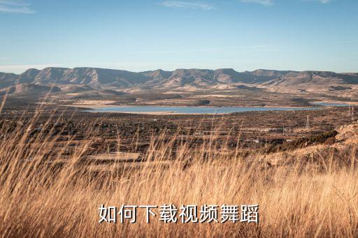 舞蹈视频在哪里下载，如何下载视频舞蹈