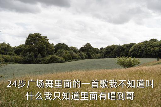 24步广场舞里面的一首歌我不知道叫什么我只知道里面有唱到哥