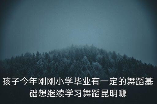孩子今年刚刚小学毕业有一定的舞蹈基础想继续学习舞蹈昆明哪