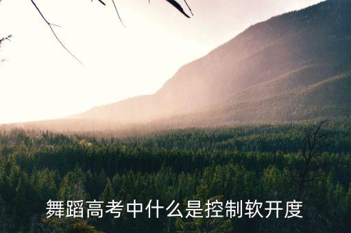 舞蹈高考中什么是控制软开度