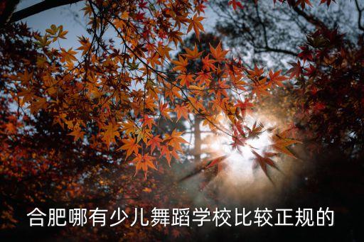 合肥儿童舞蹈培训机构排名，道里区那个舞蹈学校比较好4岁小孩学习