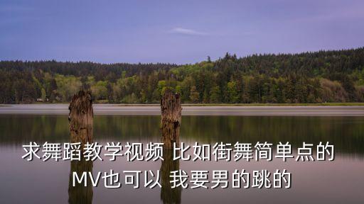 so special舞蹈教学，求舞蹈教学视频 比如街舞简单点的 MV也可以 我要男的跳的