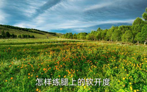 软开度训练包括什么地方，怎样练腿上的软开度