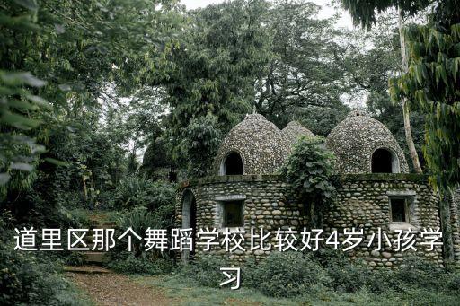 道里区那个舞蹈学校比较好4岁小孩学习