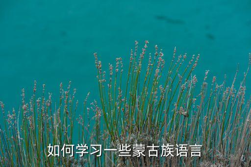 如何学习一些蒙古族语言