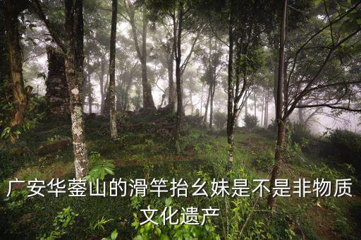 广安华蓥山的滑竿抬幺妹是不是非物质文化遗产
