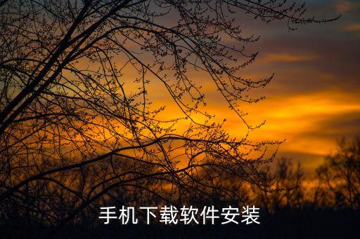 手机下载软件安装