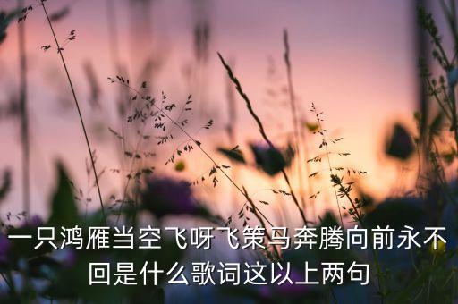 一只鸿雁当空飞呀飞策马奔腾向前永不回是什么歌词这以上两句