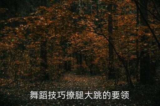 舞蹈技巧撩腿大跳的要领