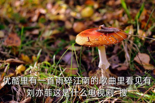 等你一生够不够是什么电视，优酷里有一首雨碎江南的歌曲里看见有刘亦菲这是什么电视剧  搜