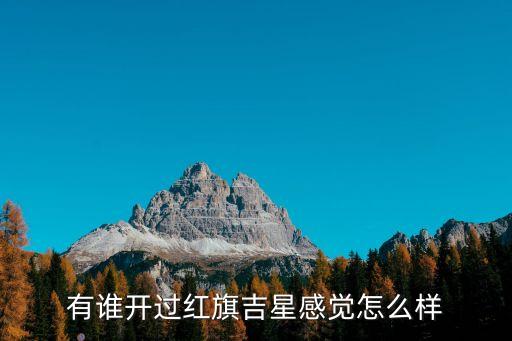 吉星广场怎么样，南京中央商场怎么样