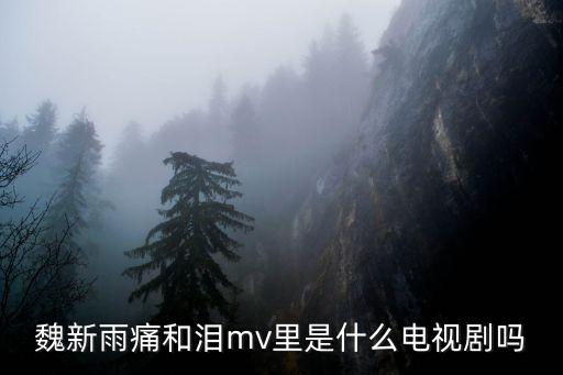 魏新雨痛和泪mv里是什么电视剧吗