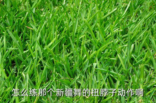 新疆舞基本动作0859，怎么练那个新疆舞的扭脖子动作啊
