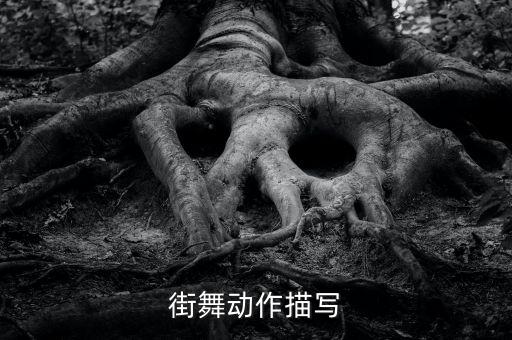 街舞动作描写
