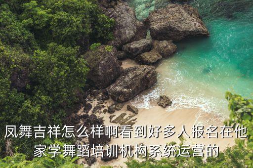 凤舞吉祥怎么样啊看到好多人报名在他家学舞蹈培训机构系统运营的
