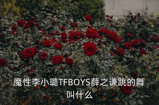 魔性李小璐TFBOYS薛之谦跳的舞叫什么