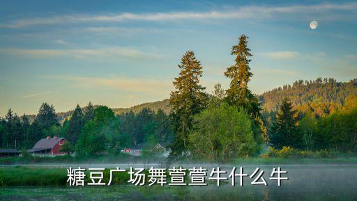 糖豆广场舞萱萱牛什么牛