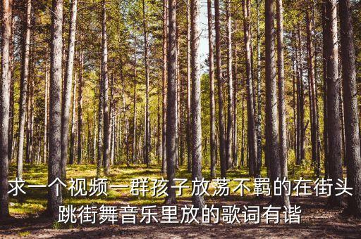 求一个视频一群孩子放荡不羁的在街头跳街舞音乐里放的歌词有谐