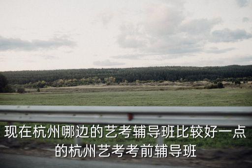 现在杭州哪边的艺考辅导班比较好一点的杭州艺考考前辅导班