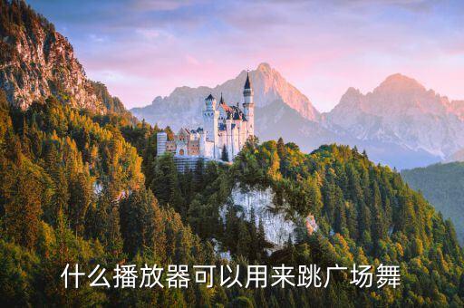广场舞mp4用什么播放器，有没有专门看广场舞的视频软件啊要全的