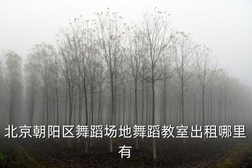 北京朝阳区舞蹈场地舞蹈教室出租哪里有