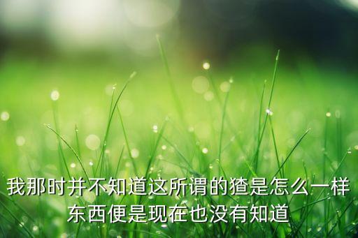 我那时并不知道这所谓的猹是怎么一样东西便是现在也没有知道