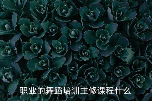 职业的舞蹈培训主修课程什么