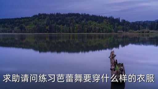 求助请问练习芭蕾舞要穿什么样的衣服