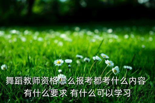 舞蹈教师资格怎么报考都考什么内容 有什么要求 有什么可以学习