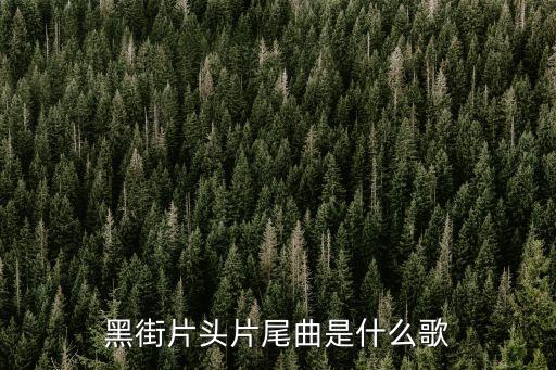 黑街片头片尾曲是什么歌