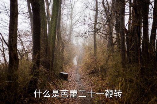 什么是芭蕾二十一鞭转