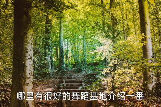 哪里有很好的舞蹈基地介绍一番