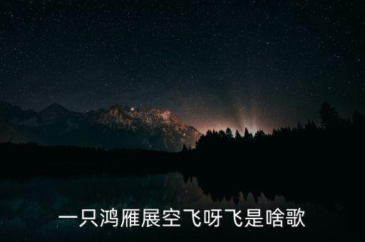 一只鸿雁当头飞呀飞是什么歌，一只鸿雁展空飞呀飞是啥歌