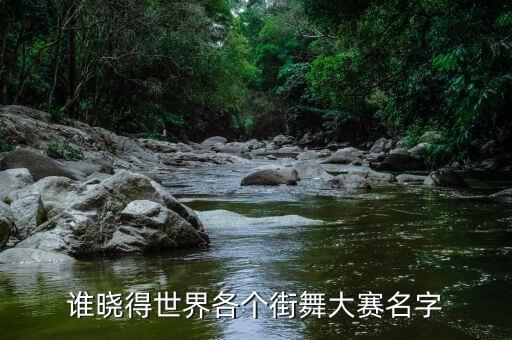 谁晓得世界各个街舞大赛名字